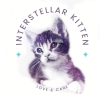 interstellar-kitten